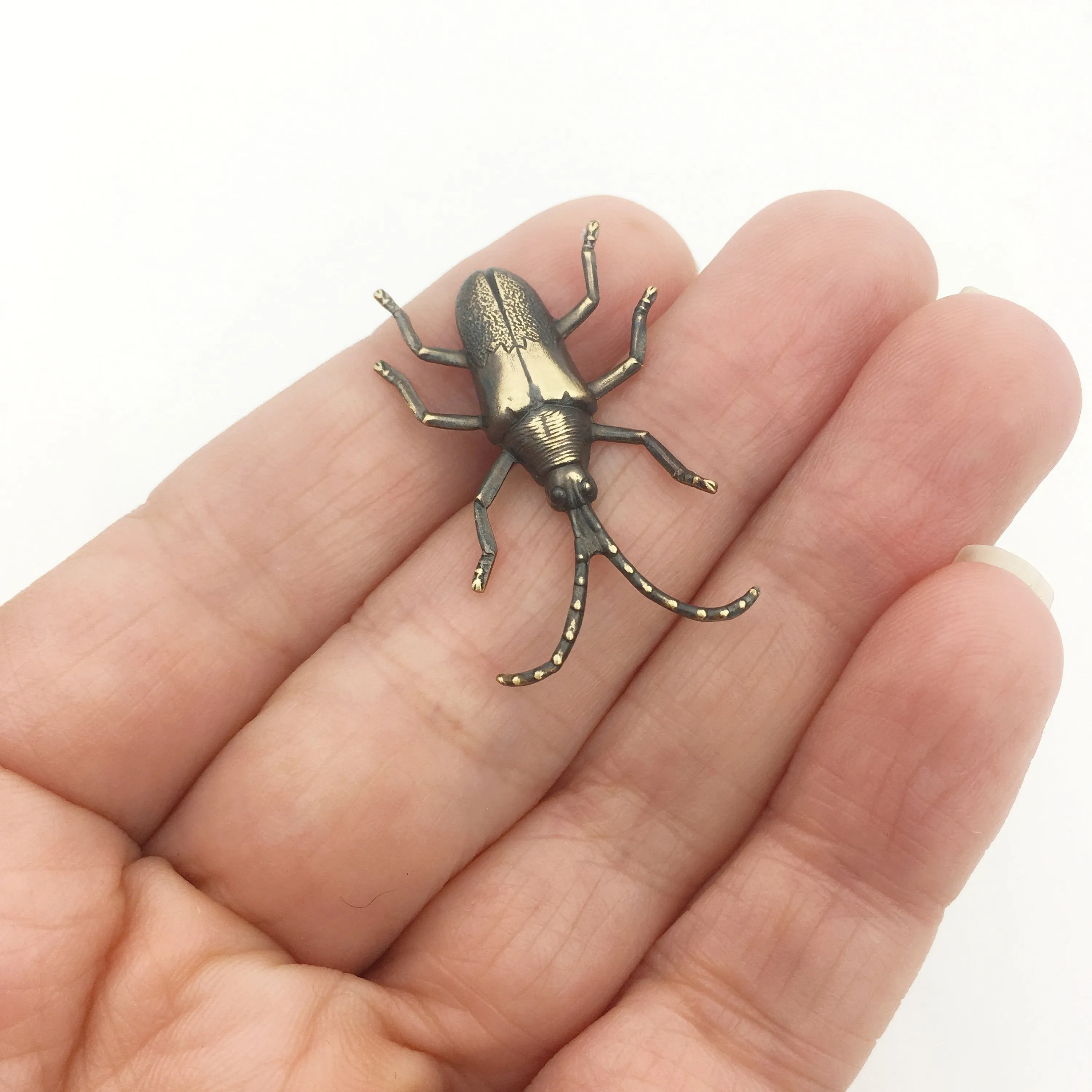 Brass Long Horned Beetle Insect Pin or Brooch