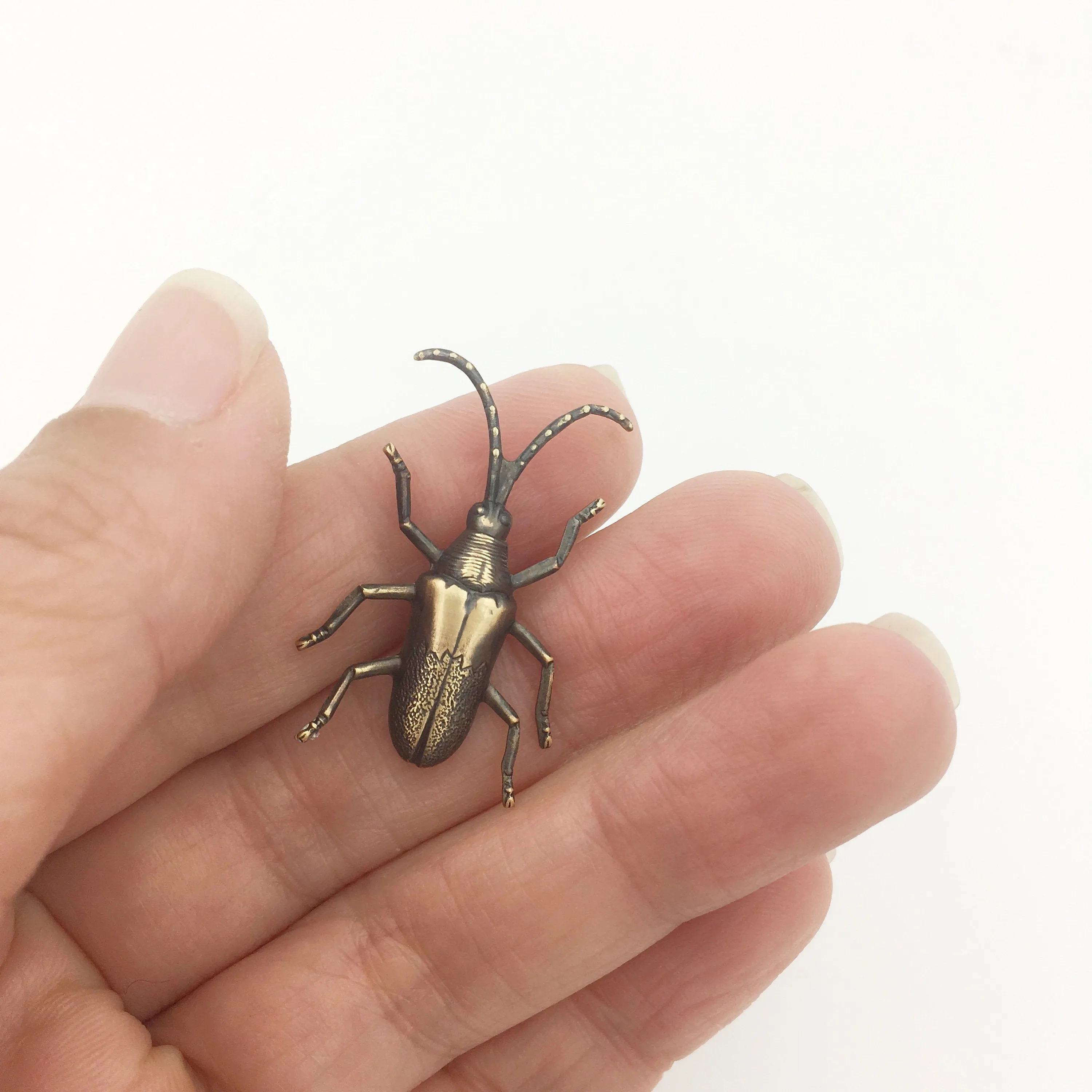 Brass Long Horned Beetle Insect Pin or Brooch