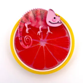 Grapefruit - Brooch - Set of 4