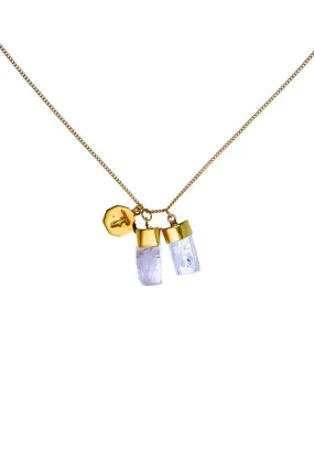 Tiger Frame Gold Aquamarine/Kunzite Charm Necklace